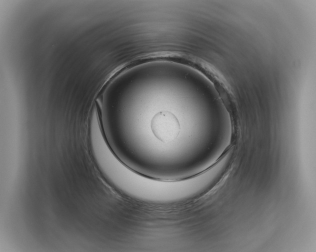 X0000112981177200908271137