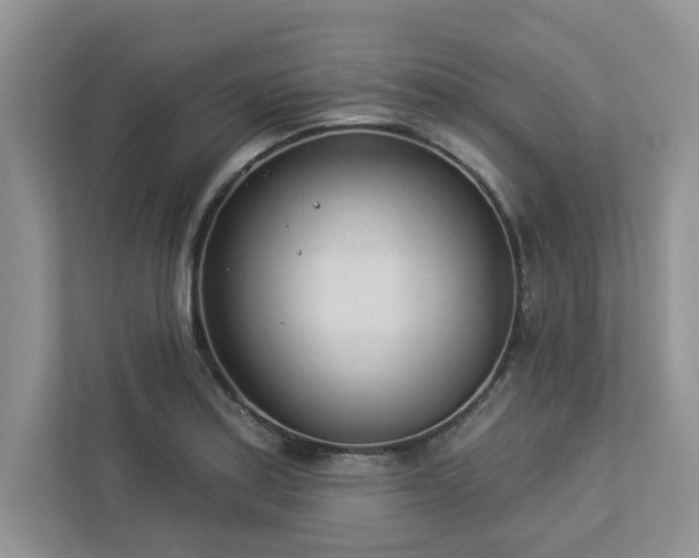 X0000112981179200908271137