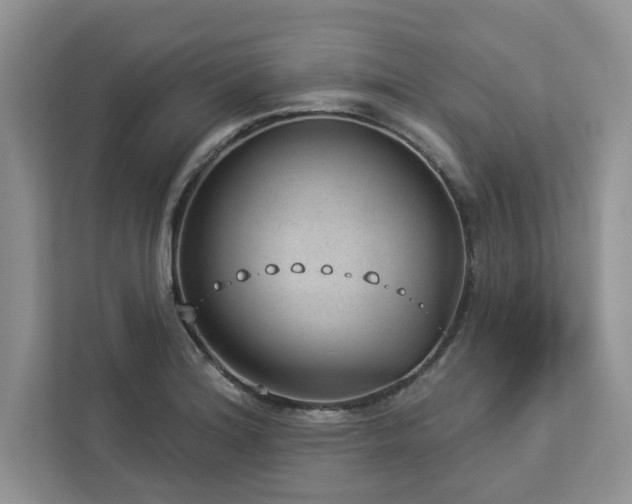 X0000112981180200908271137