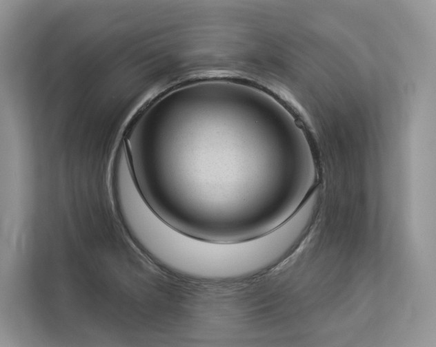 X0000112981181200908271137
