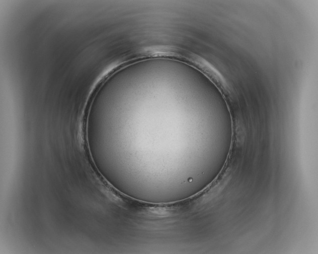 X0000112981182200908271137