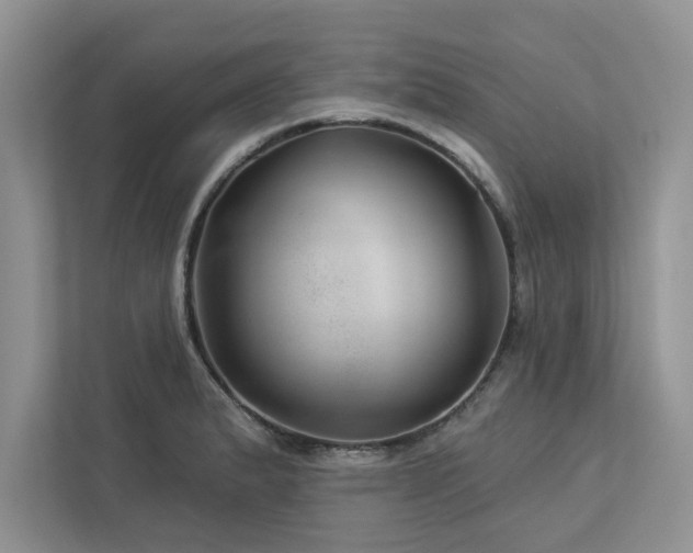 X0000112981183200908271137