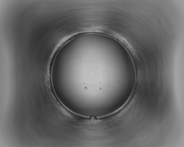 X0000112981184200908271137