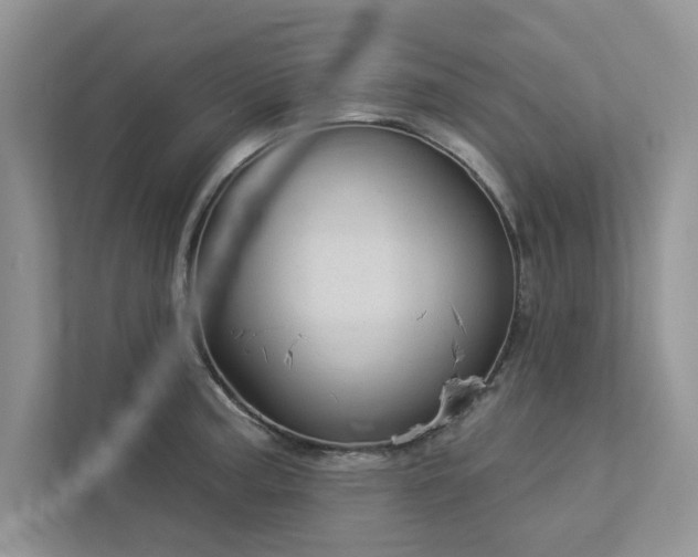 X0000112981187200908271137