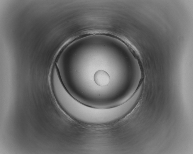 X0000112981189200908271137