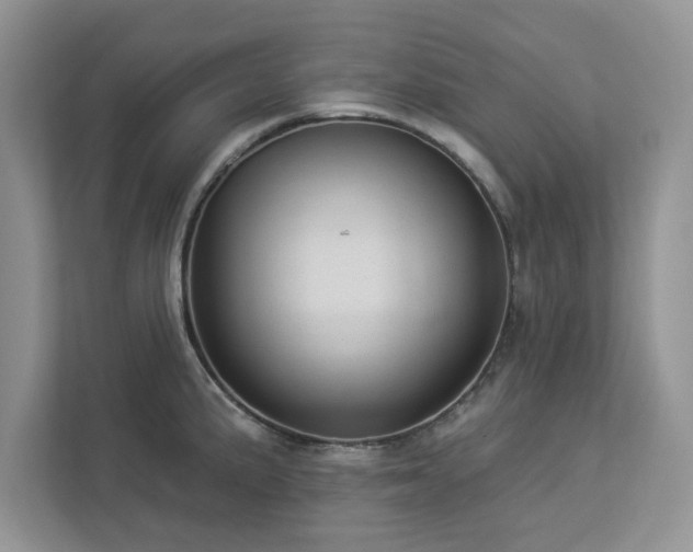 X0000112981191200908271137