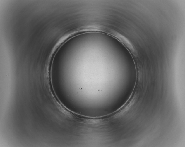 X0000112981192200908271137