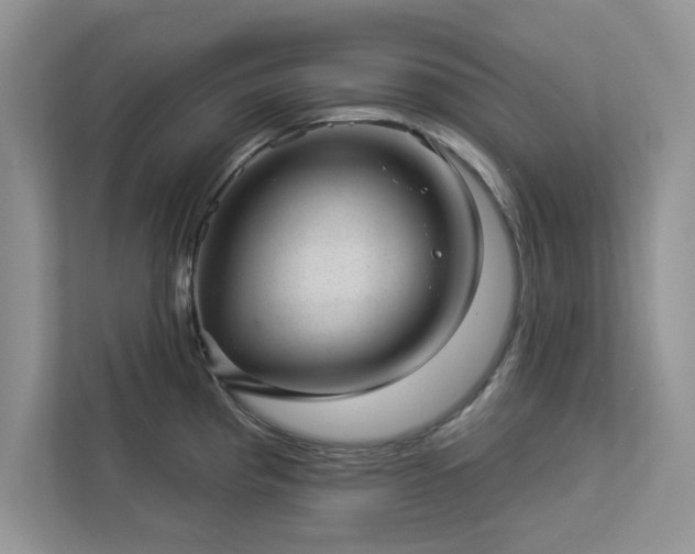 X0000112981193200908271137