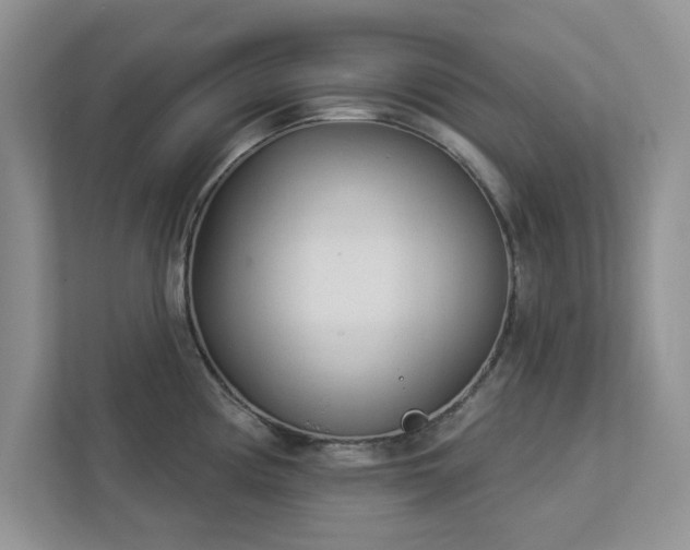 X0000112981194200908271137