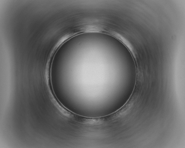 X0000112981195200908271137