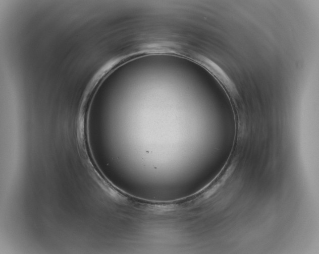 X0000112981196200908271137