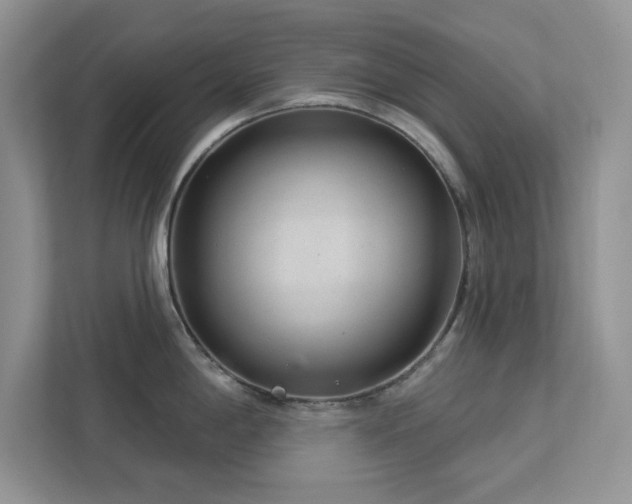 X0000112981198200908271137