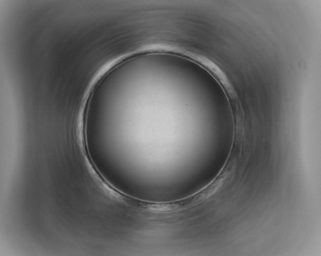 X0000112981199200908271137