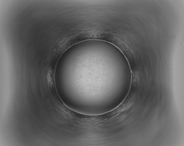X0000112981202200908271136