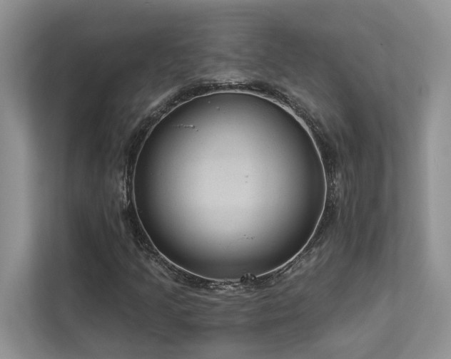 X0000112981205200908271136