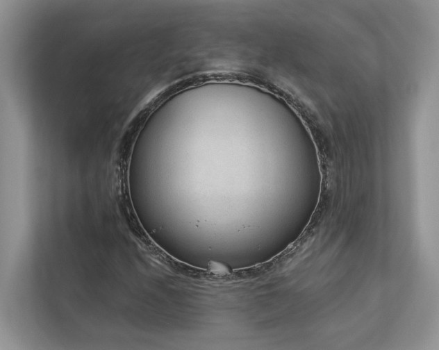 X0000112981208200908271136