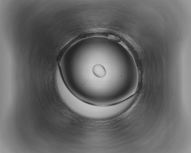 X0000112981209200908271136