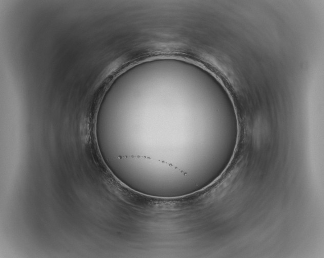 X0000112981211200908271136