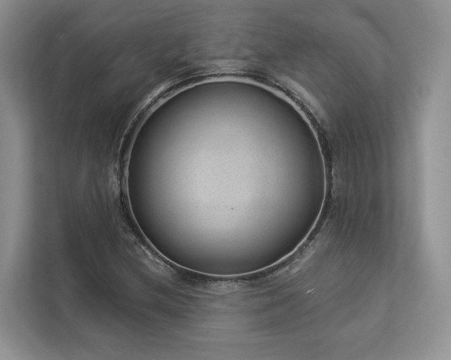 X0000112981212200908271136