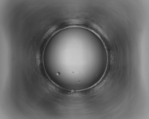X0000112981213200908271136