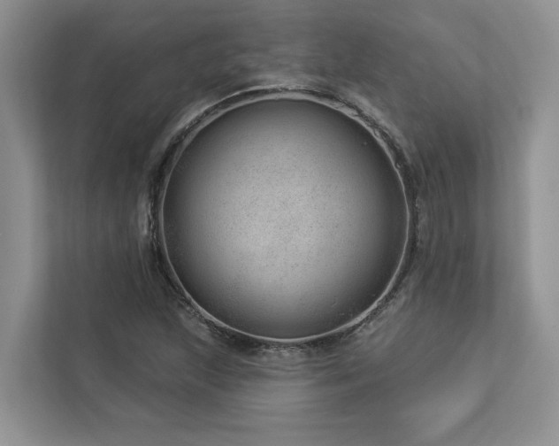 X0000112981215200908271136