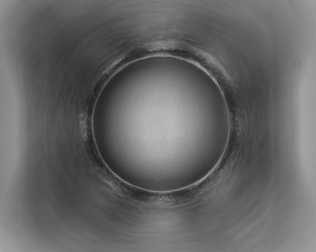 X0000112981217200908271136