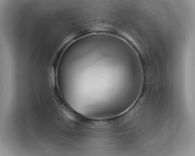 X0000112981219200908271136
