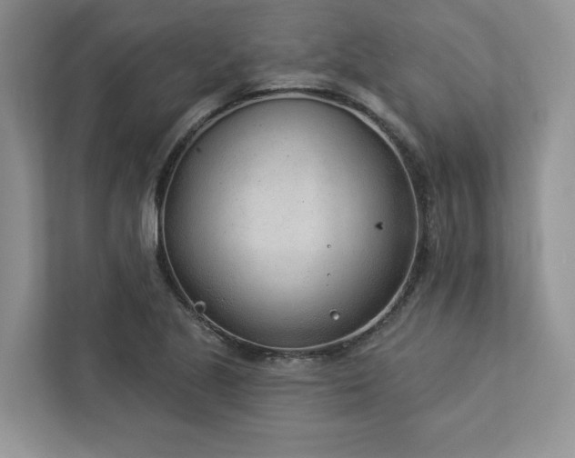 X0000112981221200908271136