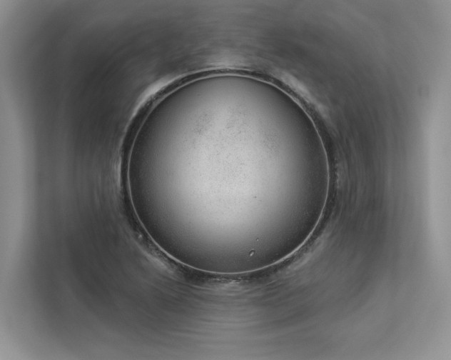 X0000112981222200908271136