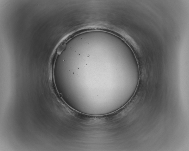 X0000112981224200908271136