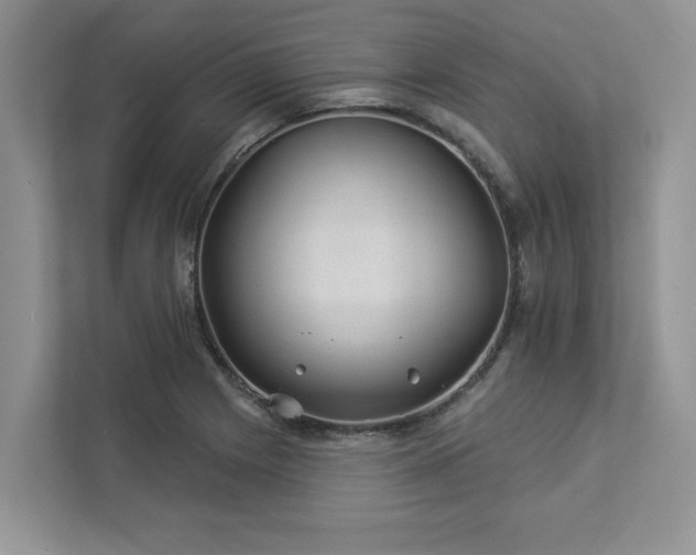 X0000112981225200908271136
