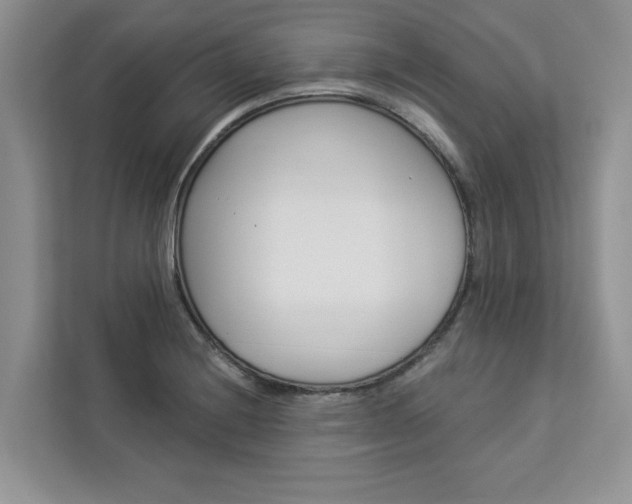 X0000112981228200908271136