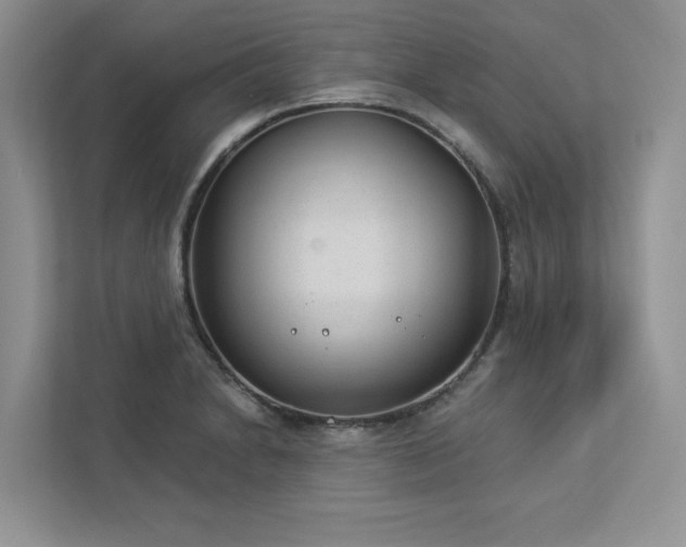 X0000112981230200908271136