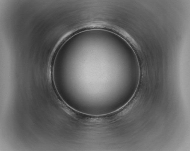 X0000112981232200908271136