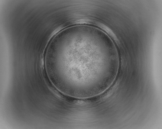 X0000112981234200908271137