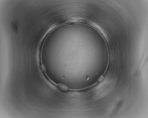 X0000112981235200908271137