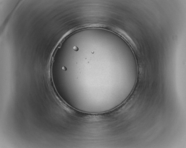 X0000112981236200908271137