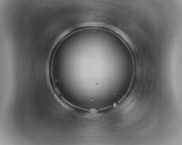X0000112981237200908271137