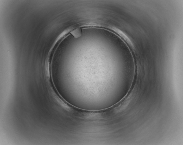 X0000112981238200908271137