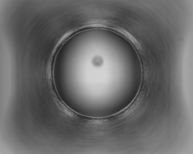 X0000112981240200908271137