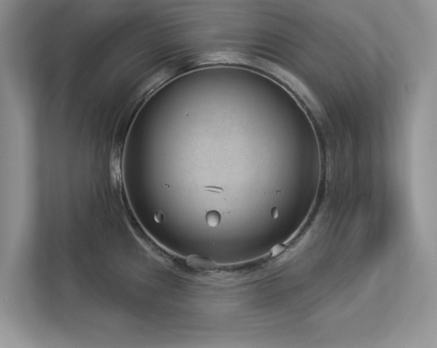 X0000112981241200908271137