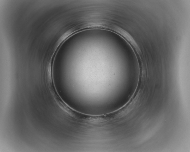 X0000112981242200908271137