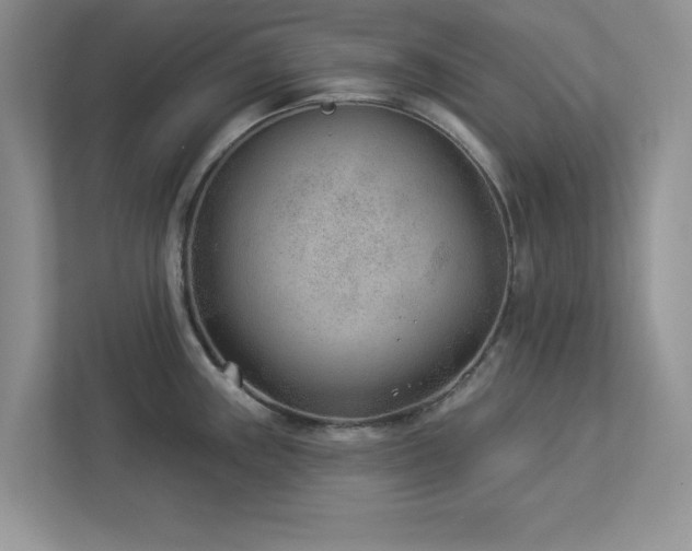 X0000112981243200908271137