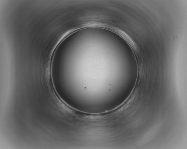 X0000112981244200908271137