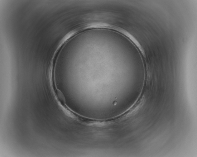 X0000112981245200908271137