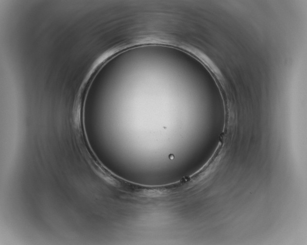 X0000112981246200908271137