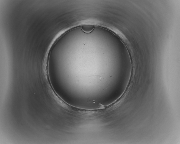 X0000112981248200908271137