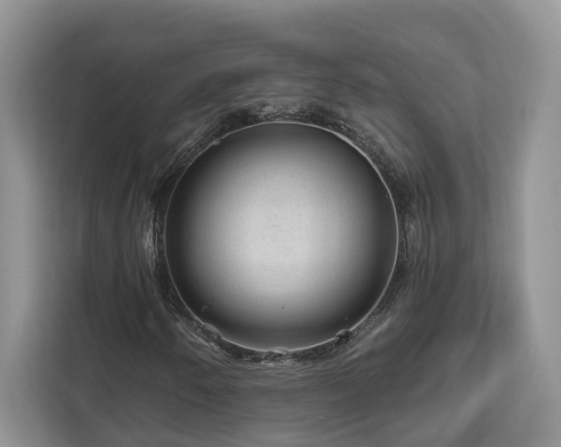 X0000112981250200908271136