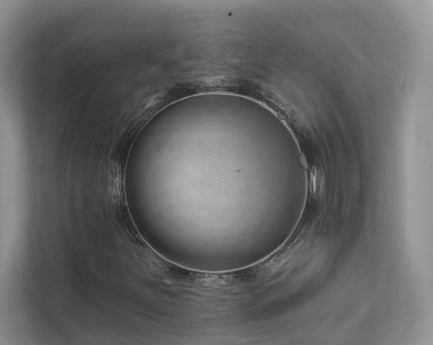 X0000112981251200908271136