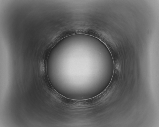 X0000112981252200908271136
